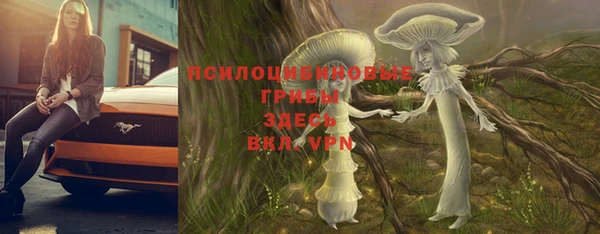 гашик Алзамай
